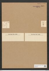 Gomphonema longiceps Ehr. (de-Toni-Nr.: Genus 37, Species 1735) Zeichnungen Sammlung Grunow Nr. 3409 (NHMW-BOT-W0370940)